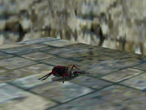Spider tr2.jpg