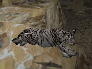 Whitetiger.jpg